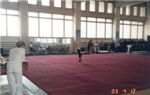 artem_gimnastika
